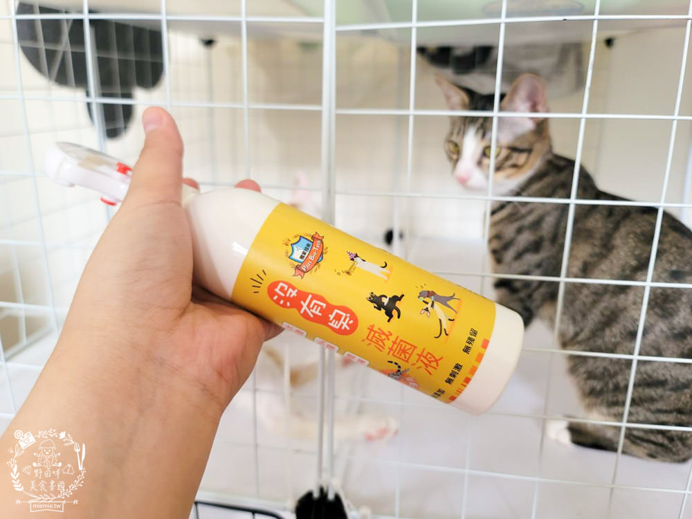 貓咪清潔用品開箱<沒有臭>貓用滅菌液+沒有油 電淨水 清爽餐具水洗液|無毒不刺激不致敏，誤舔無礙的清潔用品