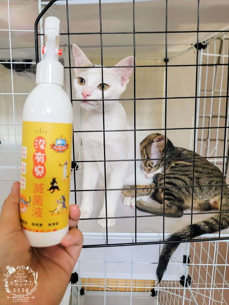 貓咪清潔用品開箱<沒有臭>貓用滅菌液+沒有油 電淨水 清爽餐具水洗液|無毒不刺激不致敏，誤舔無礙的清潔用品