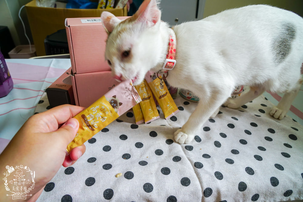 貪貪主食罐|添加蠶蛹增加腸道保健!含98%動物性蛋白!符合AAFCO/NRC營養標準與SGS檢驗報告 - 第46張圖 貪貪主食罐|添加蠶蛹增加腸道保健!含98%動物性蛋白!符合AAFCO/NRC營養標準與SGS檢驗報告