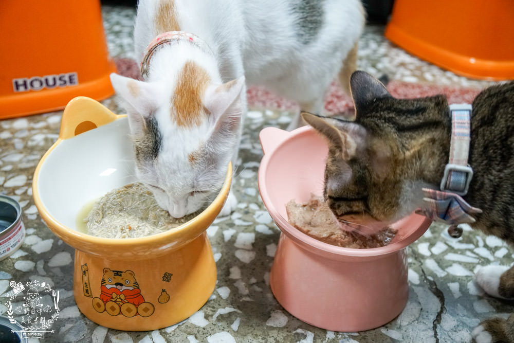 貪貪主食罐|添加蠶蛹增加腸道保健!含98%動物性蛋白!符合AAFCO/NRC營養標準與SGS檢驗報告 - 第14張圖 貪貪主食罐|添加蠶蛹增加腸道保健!含98%動物性蛋白!符合AAFCO/NRC營養標準與SGS檢驗報告