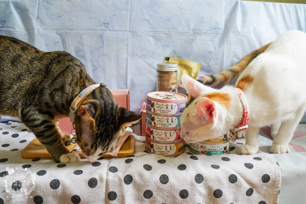 貪貪主食罐|添加蠶蛹增加腸道保健!含98%動物性蛋白!符合AAFCO/NRC營養標準與SGS檢驗報告 - 第27張圖 貪貪主食罐|添加蠶蛹增加腸道保健!含98%動物性蛋白!符合AAFCO/NRC營養標準與SGS檢驗報告