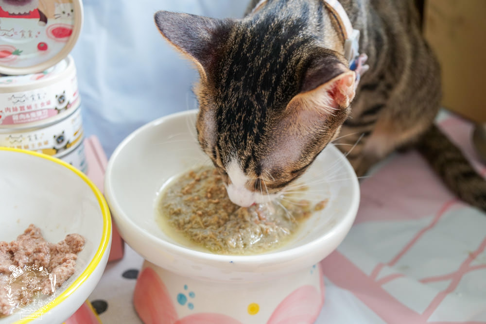 貪貪主食罐|添加蠶蛹增加腸道保健!含98%動物性蛋白!符合AAFCO/NRC營養標準與SGS檢驗報告 - 第17張圖 貪貪主食罐|添加蠶蛹增加腸道保健!含98%動物性蛋白!符合AAFCO/NRC營養標準與SGS檢驗報告