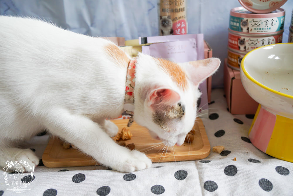 貪貪主食罐|添加蠶蛹增加腸道保健!含98%動物性蛋白!符合AAFCO/NRC營養標準與SGS檢驗報告 - 第38張圖 貪貪主食罐|添加蠶蛹增加腸道保健!含98%動物性蛋白!符合AAFCO/NRC營養標準與SGS檢驗報告