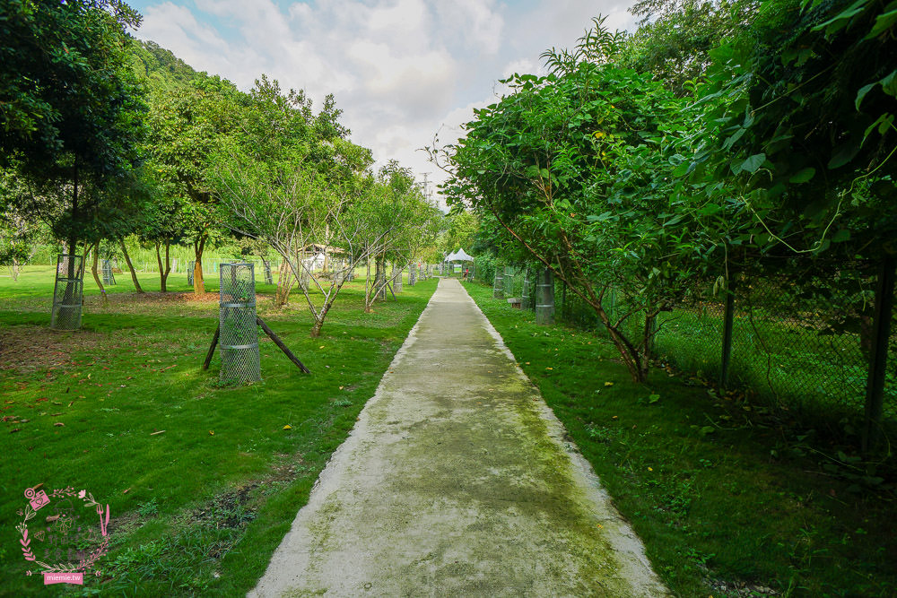 嘉義[逐鹿傳說梅花鹿園區]超可愛的梅花鹿餵食體驗!親子旅遊的好去處!