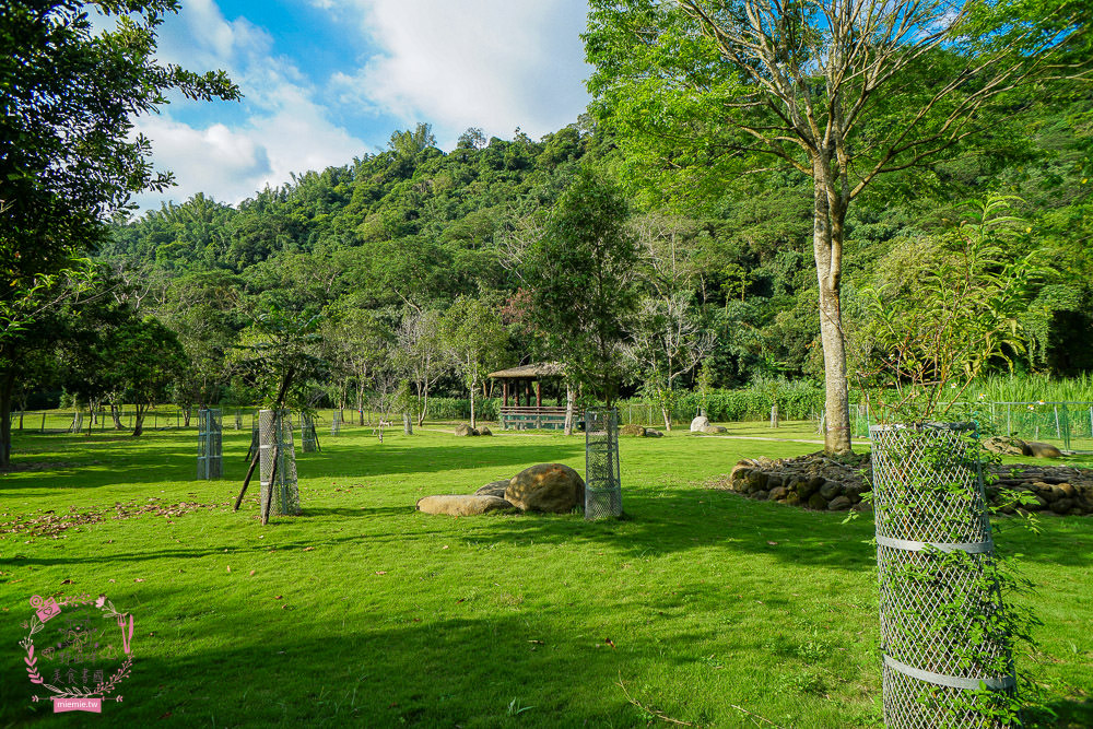 嘉義[逐鹿傳說梅花鹿園區]超可愛的梅花鹿餵食體驗!親子旅遊的好去處!
