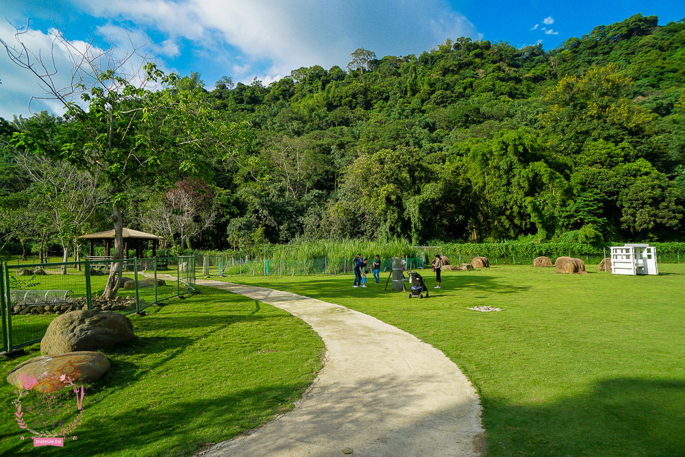 嘉義[逐鹿傳說梅花鹿園區]超可愛的梅花鹿餵食體驗!親子旅遊的好去處!