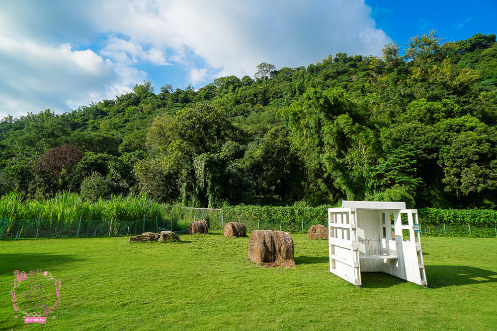 嘉義[逐鹿傳說梅花鹿園區]超可愛的梅花鹿餵食體驗!親子旅遊的好去處!