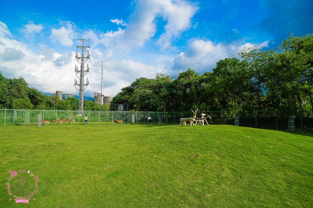 嘉義[逐鹿傳說梅花鹿園區]超可愛的梅花鹿餵食體驗!親子旅遊的好去處!