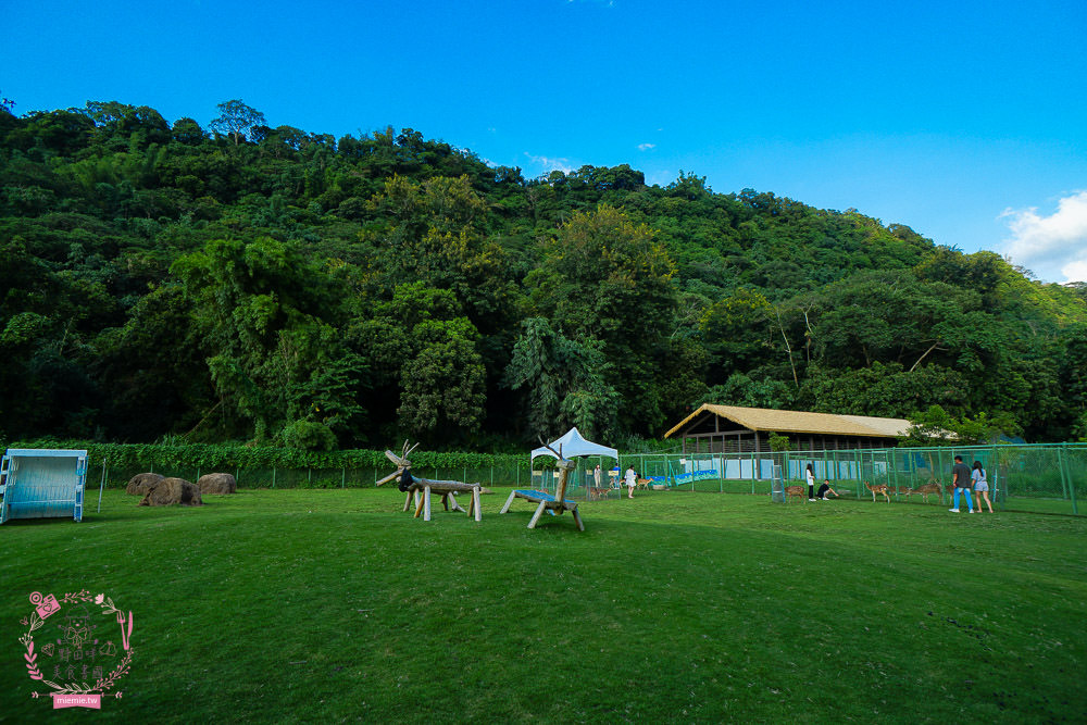 嘉義[逐鹿傳說梅花鹿園區]超可愛的梅花鹿餵食體驗!親子旅遊的好去處!