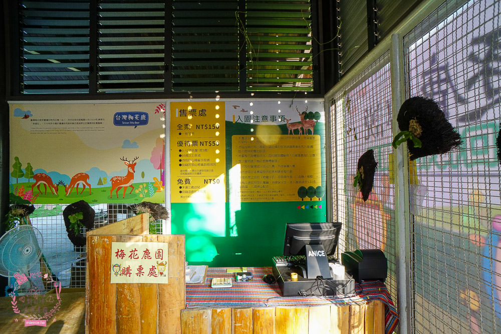 嘉義[逐鹿傳說梅花鹿園區]超可愛的梅花鹿餵食體驗!親子旅遊的好去處!