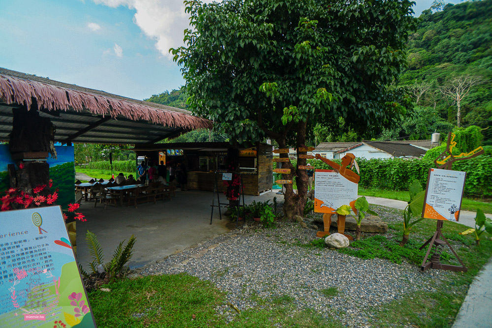 嘉義[逐鹿傳說梅花鹿園區]超可愛的梅花鹿餵食體驗!親子旅遊的好去處!