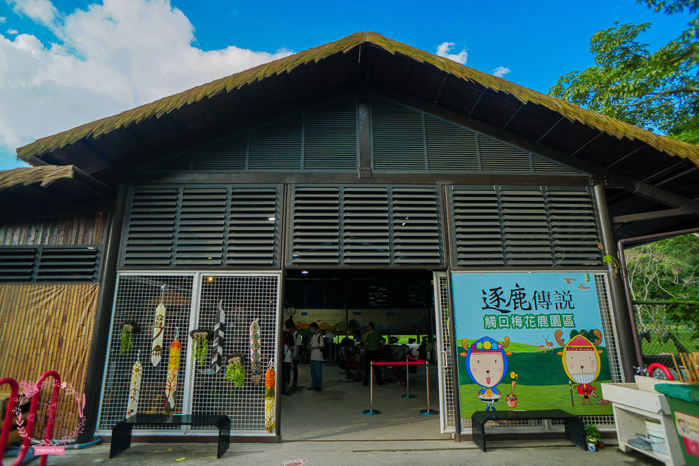 嘉義[逐鹿傳說梅花鹿園區]超可愛的梅花鹿餵食體驗!親子旅遊的好去處!
