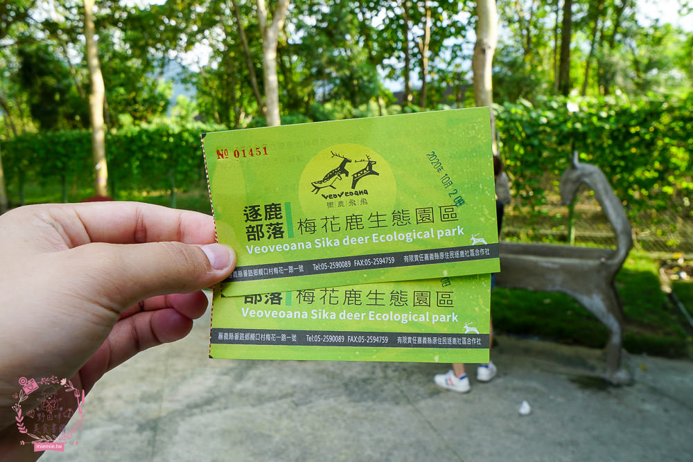 嘉義[逐鹿傳說梅花鹿園區]超可愛的梅花鹿餵食體驗!親子旅遊的好去處!