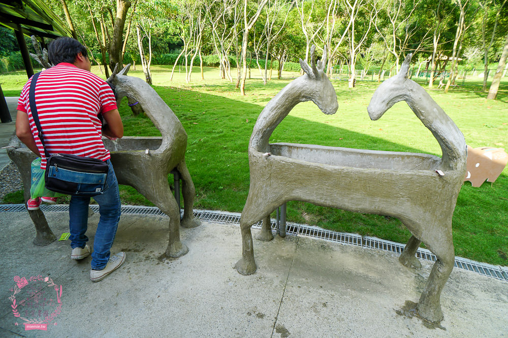 嘉義[逐鹿傳說梅花鹿園區]超可愛的梅花鹿餵食體驗!親子旅遊的好去處!