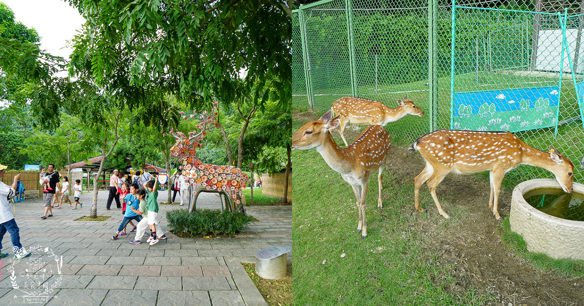 嘉義[逐鹿傳說梅花鹿園區]超可愛的梅花鹿餵食體驗!親子旅遊的好去處!
