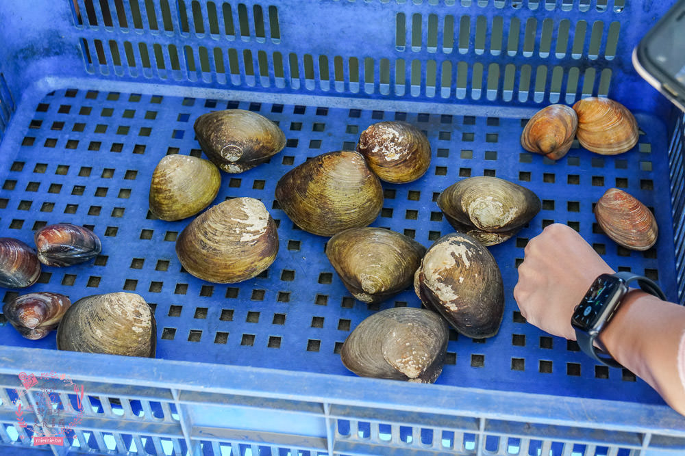 雲林口湖|馬蹄蛤主題館~隱藏著全台最大的蜆!體驗撿馬蹄蛤樂趣!還有超多網美拍照藝術裝置? - 第64張圖 雲林口湖|馬蹄蛤主題館~隱藏著全台最大的蜆!體驗撿馬蹄蛤樂趣!還有超多網美拍照藝術裝置?