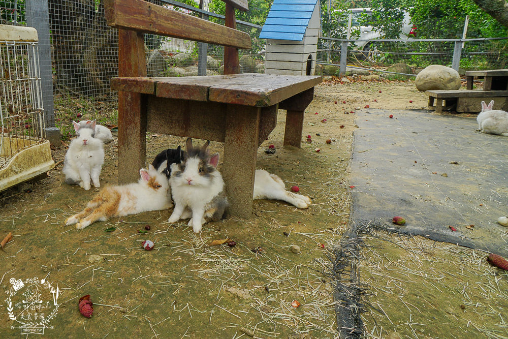 [台中山城三天兩夜遊]踏青賞花+品嘗在地夯美食+享受美人湯的溫泉之旅