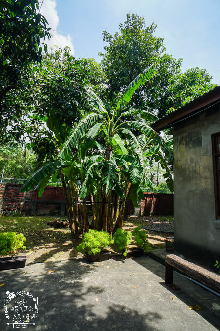 高雄[驢子實驗室]黃埔新村的日式咖啡廳!綠意盎然的療癒美景超愜意!