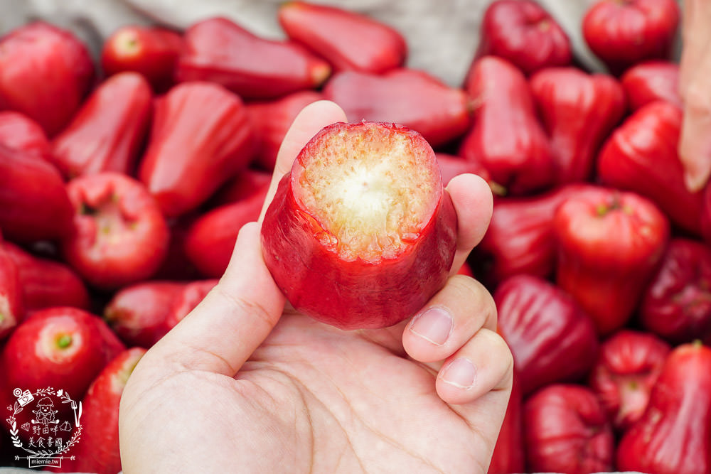 外銷等級的高雄紅蜜蓮霧限量開賣!2000盒只賣到4/15!超過想像力的蓮霧口感|果實海綿體升級高紮實+清脆多汁