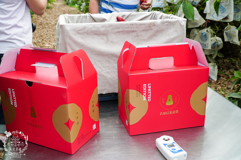 外銷等級的高雄紅蜜蓮霧限量開賣!2000盒只賣到4/15!超過想像力的蓮霧口感|果實海綿體升級高紮實+清脆多汁