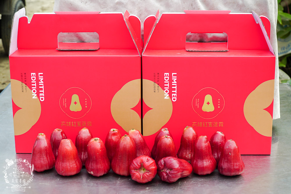 外銷等級的高雄紅蜜蓮霧限量開賣!2000盒只賣到4/15!超過想像力的蓮霧口感|果實海綿體升級高紮實+清脆多汁