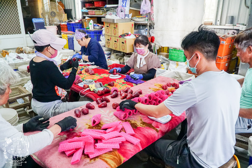 外銷等級的高雄紅蜜蓮霧限量開賣!2000盒只賣到4/15!超過想像力的蓮霧口感|果實海綿體升級高紮實+清脆多汁