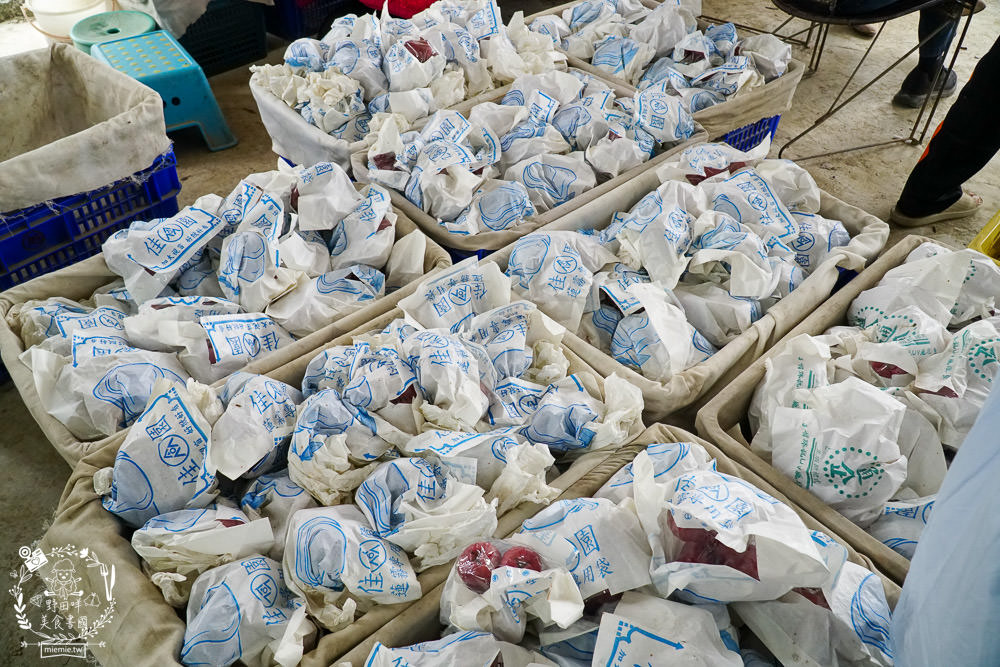 外銷等級的高雄紅蜜蓮霧限量開賣!2000盒只賣到4/15!超過想像力的蓮霧口感|果實海綿體升級高紮實+清脆多汁