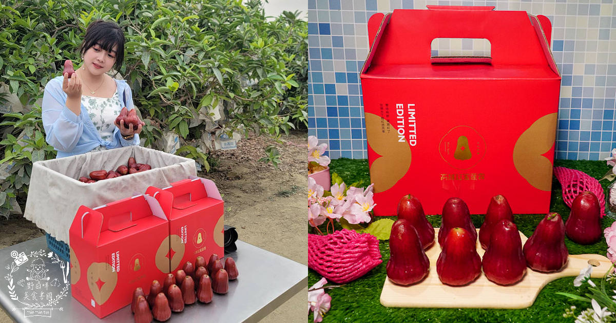 外銷等級的高雄紅蜜蓮霧限量開賣!2000盒只賣到4/15!超過想像力的蓮霧口感|果實海綿體升級高紮實+清脆多汁
