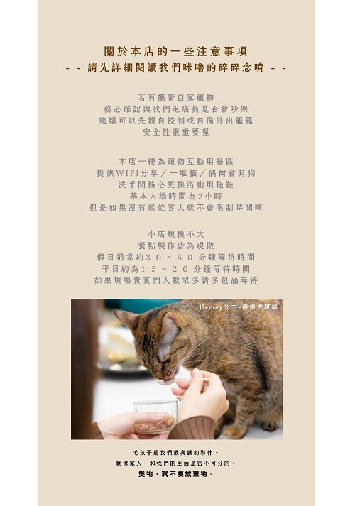 魔法咪嚕寵物咖啡館|台南超人氣寵物餐廳!10多隻萌寵陪伴用餐療癒到融化了!不訂位就容易撲空唷!