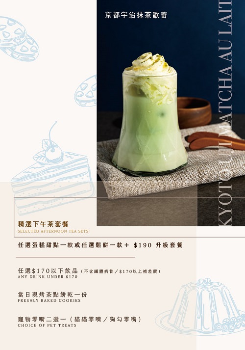 魔法咪嚕寵物咖啡館|台南超人氣寵物餐廳!10多隻萌寵陪伴用餐療癒到融化了!不訂位就容易撲空唷!