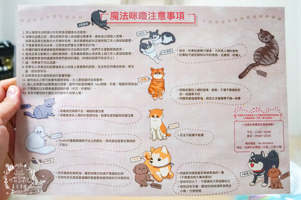 魔法咪嚕寵物咖啡館|台南超人氣寵物餐廳!10多隻萌寵陪伴用餐療癒到融化了!不訂位就容易撲空唷!