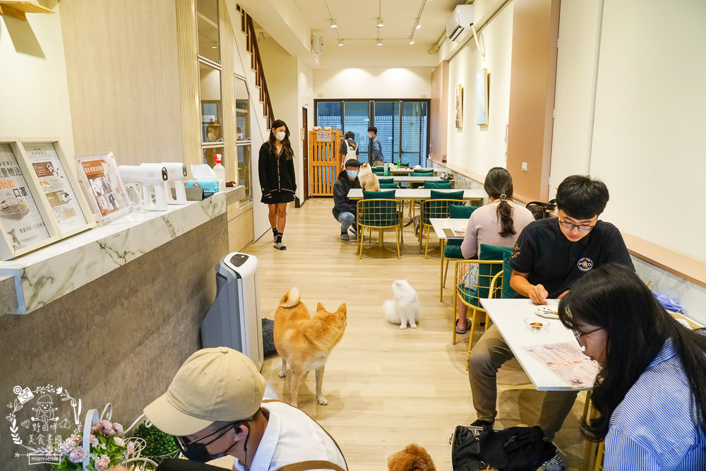 魔法咪嚕寵物咖啡館|台南超人氣寵物餐廳!10多隻萌寵陪伴用餐療癒到融化了!不訂位就容易撲空唷!