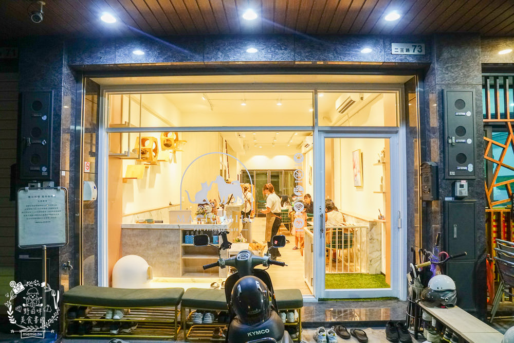 魔法咪嚕寵物咖啡館|台南超人氣寵物餐廳!10多隻萌寵陪伴用餐療癒到融化了!不訂位就容易撲空唷!