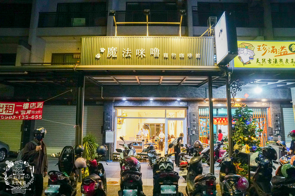 魔法咪嚕寵物咖啡館|台南超人氣寵物餐廳!10多隻萌寵陪伴用餐療癒到融化了!不訂位就容易撲空唷!