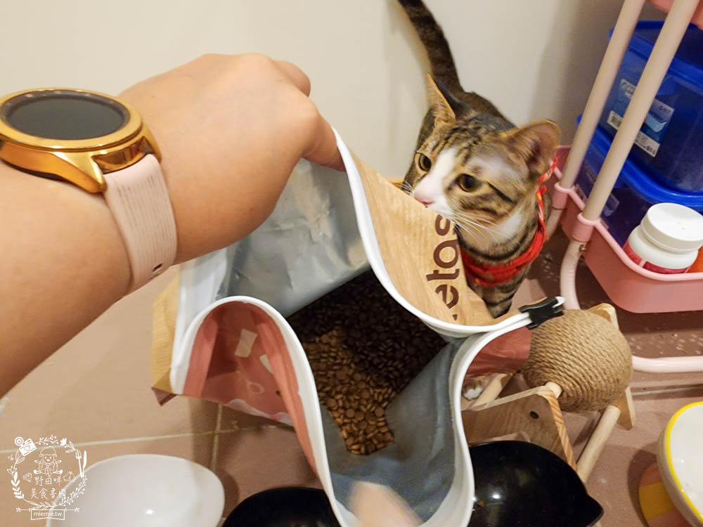 無穀全齡貓雞&鮭魚(泌尿化毛配方)鮮樂嚐評價開箱!高CP值貓咪飼料!腸胃敏感寵物飼料推薦+添加益生菌飼料