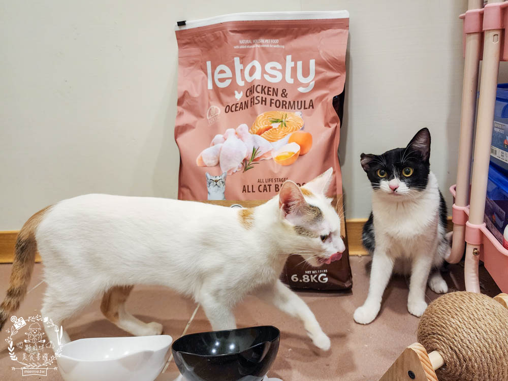 無穀全齡貓雞&鮭魚(泌尿化毛配方)鮮樂嚐評價開箱!高CP值貓咪飼料!腸胃敏感寵物飼料推薦+添加益生菌飼料