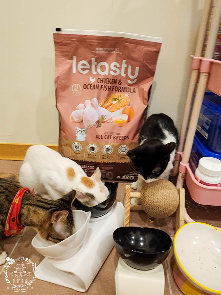 無穀全齡貓雞&鮭魚(泌尿化毛配方)鮮樂嚐評價開箱!高CP值貓咪飼料!腸胃敏感寵物飼料推薦+添加益生菌飼料