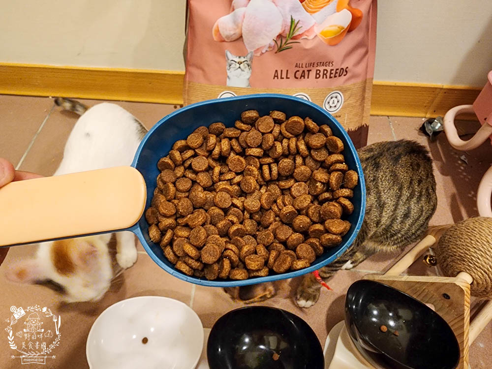 無穀全齡貓雞&鮭魚(泌尿化毛配方)鮮樂嚐評價開箱!高CP值貓咪飼料!腸胃敏感寵物飼料推薦+添加益生菌飼料