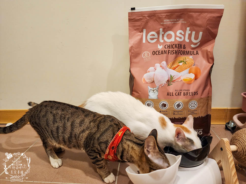 無穀全齡貓雞&鮭魚(泌尿化毛配方)鮮樂嚐評價開箱!高CP值貓咪飼料!腸胃敏感寵物飼料推薦+添加益生菌飼料
