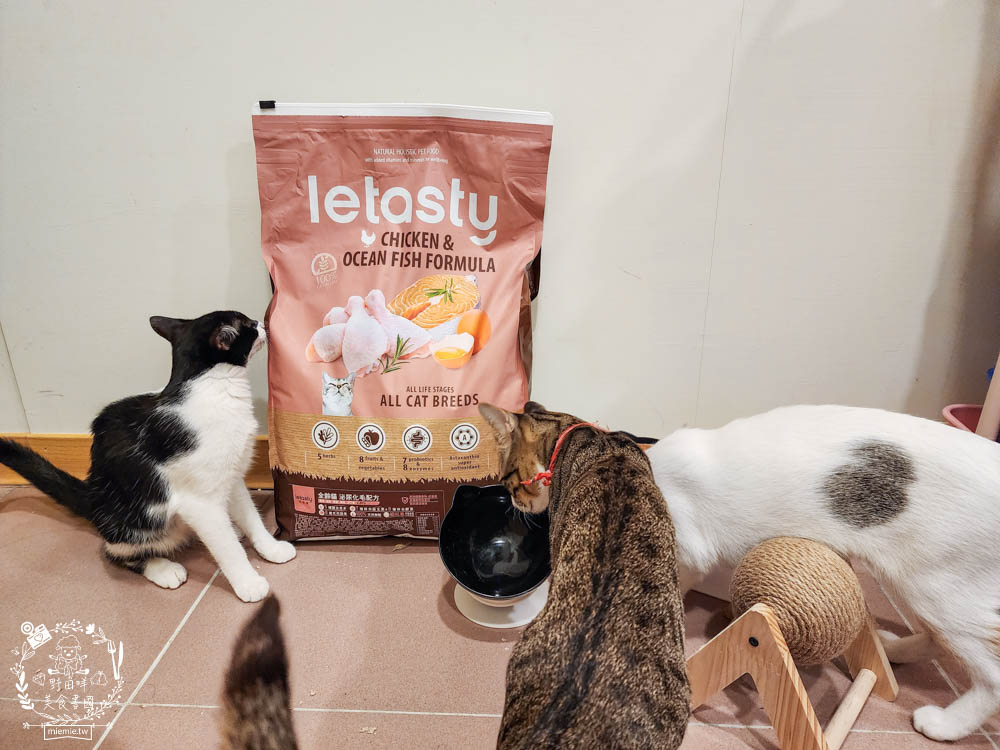 無穀全齡貓雞&鮭魚(泌尿化毛配方)鮮樂嚐評價開箱!高CP值貓咪飼料!腸胃敏感寵物飼料推薦+添加益生菌飼料