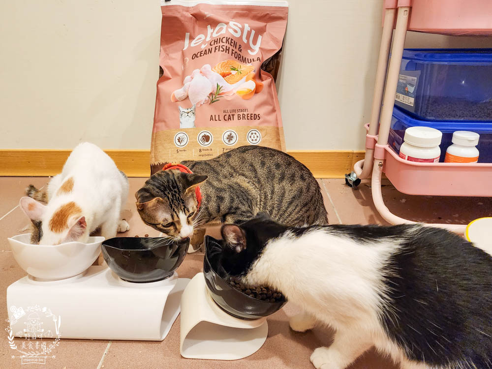 無穀全齡貓雞&鮭魚(泌尿化毛配方)鮮樂嚐評價開箱!高CP值貓咪飼料!腸胃敏感寵物飼料推薦+添加益生菌飼料