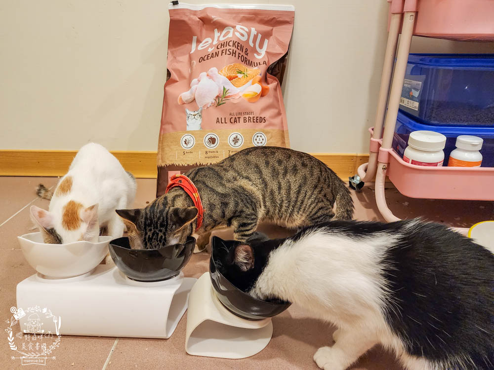 無穀全齡貓雞&鮭魚(泌尿化毛配方)鮮樂嚐評價開箱!高CP值貓咪飼料!腸胃敏感寵物飼料推薦+添加益生菌飼料