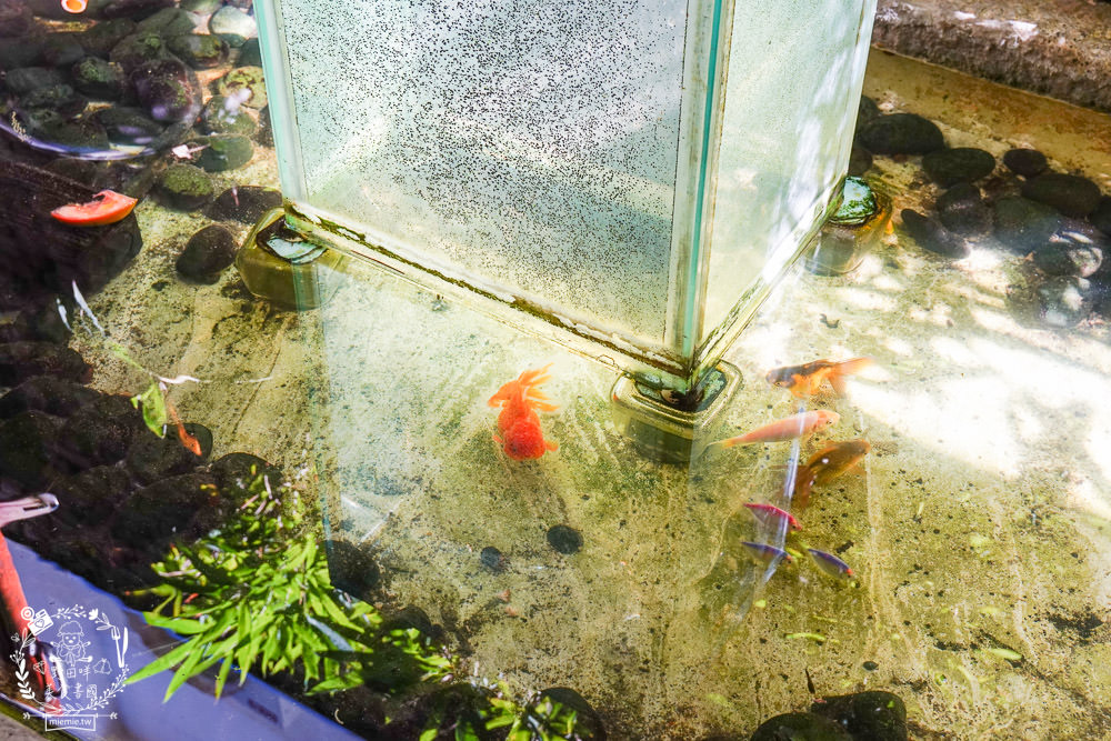 鳳山揪棧|高雄古香古色的隱藏版蔬食料理餐廳!鳳山素食料理推薦!