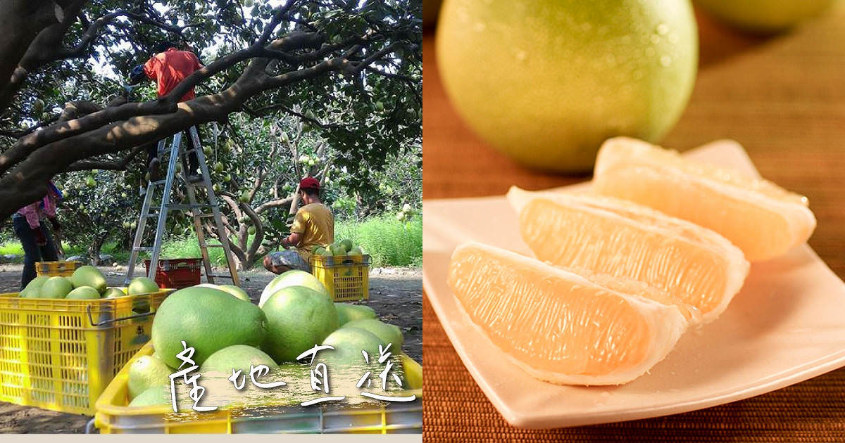 團購美食、甜點、家電、3C、保健品懶人包!超優惠的團購彙集!