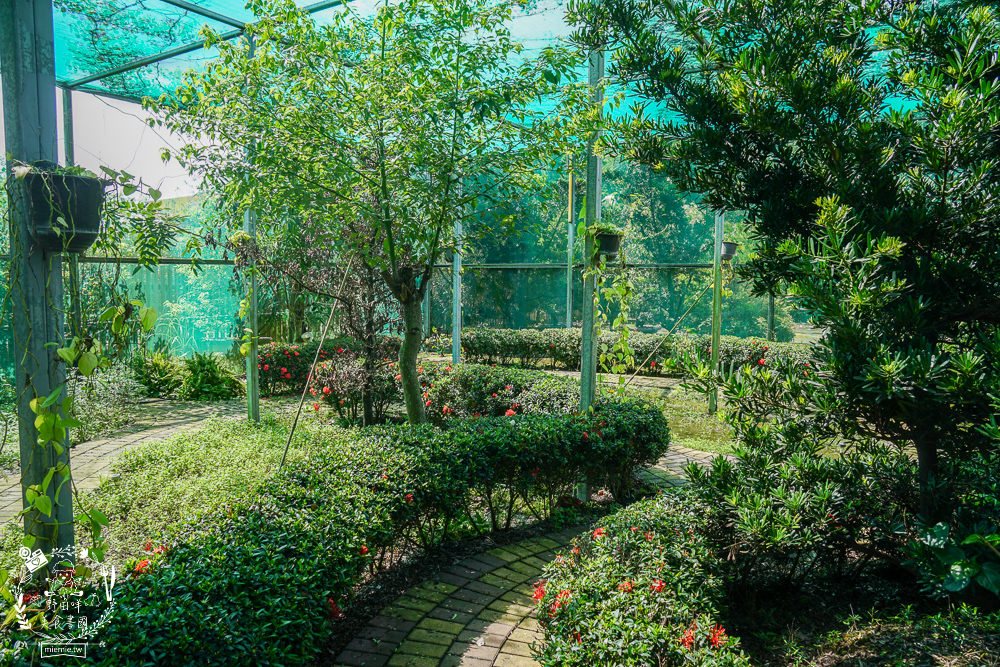 黃金蝦無毒泰國蝦餐廳|屏東超人氣泰國蝦城堡樂園!新推超澎湃海鮮飯湯!全台唯一無毒+海水SPA泰國蝦! - 第45張圖 黃金蝦無毒泰國蝦餐廳|屏東超人氣泰國蝦城堡樂園!新推超澎湃海鮮飯湯!全台唯一無毒+海水SPA泰國蝦!