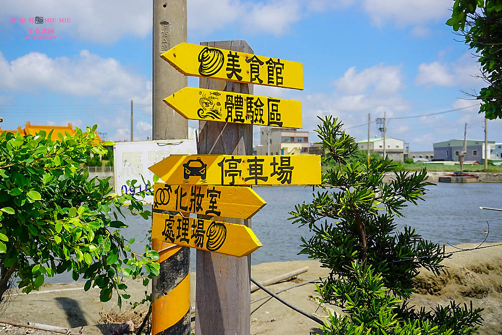 雲林口湖 馬蹄蛤主題館 隱藏著全台最大的蜆 體驗撿馬蹄蛤樂趣 野田咩的美食書國