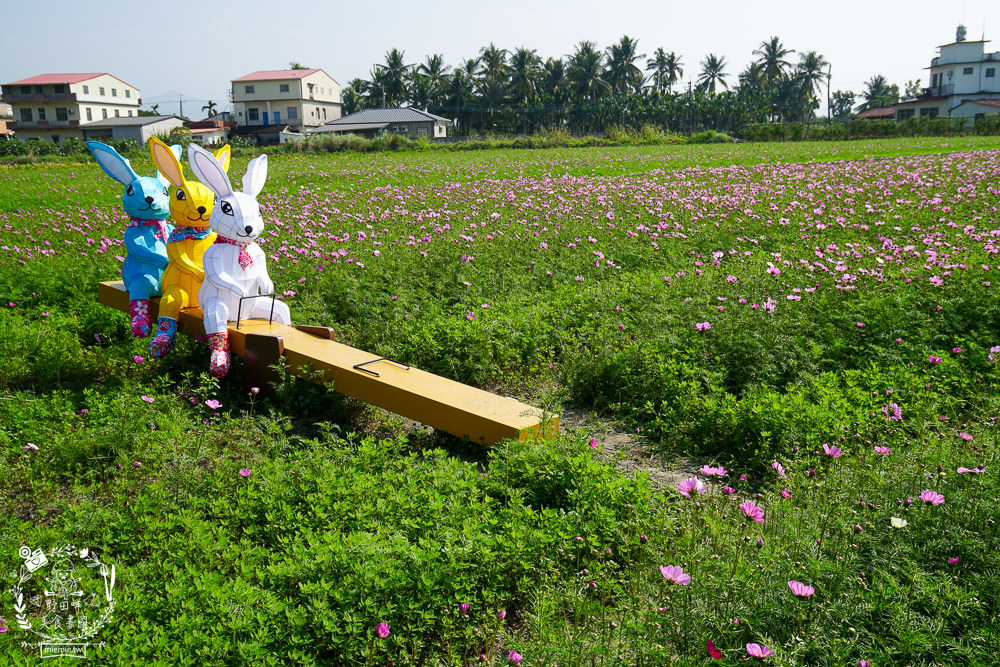 2025美濃花海|高雄色彩絢麗的繽紛浪漫花海!超好拍的七彩巨椅+兔兔藝術裝置!向日葵+百日草+大波斯菊等絢爛花海~