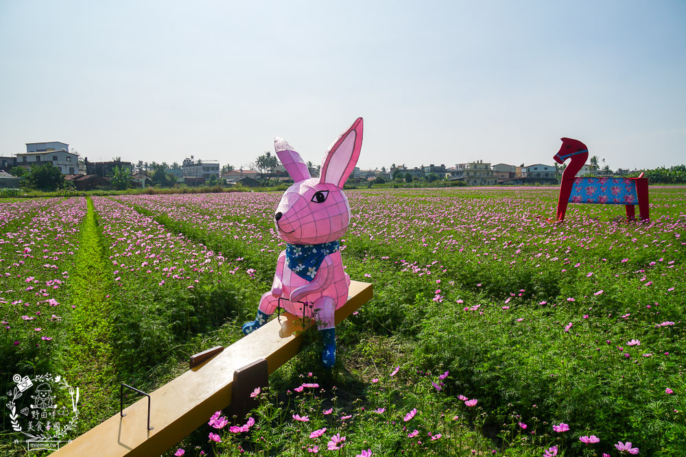 2025美濃花海|高雄色彩絢麗的繽紛浪漫花海!超好拍的七彩巨椅+兔兔藝術裝置!向日葵+百日草+大波斯菊等絢爛花海~