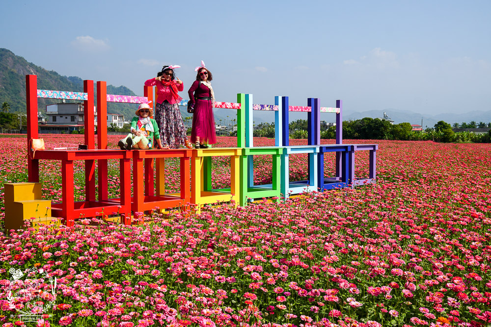 2025美濃花海|高雄色彩絢麗的繽紛浪漫花海!超好拍的七彩巨椅+兔兔藝術裝置!向日葵+百日草+大波斯菊等絢爛花海~