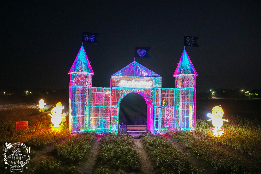 2025美濃花海|高雄色彩絢麗的繽紛浪漫花海!超好拍的七彩巨椅+兔兔藝術裝置!向日葵+百日草+大波斯菊等絢爛花海~